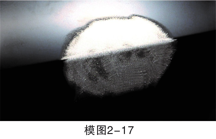 1450940973823757.jpg 10.jpg